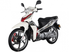 Lifan moto PK110 - 1